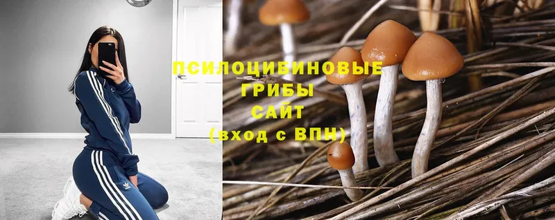 нарко площадка официальный сайт  Серпухов  Псилоцибиновые грибы MAGIC MUSHROOMS 